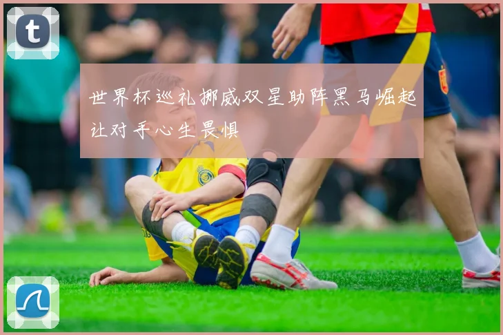 世界杯巡礼挪威双星助阵黑马崛起让对手心生畏惧